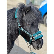 Horse Print Faux Lined Nylon Headcollars with Matching Lead Rope Green Shetland
