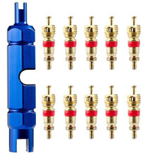 Valve Core Remover Tool Kit Bike and Car Valve Core Repair Tool with Brass Replacement Schrader Valve Core