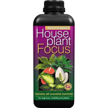 Houseplant Focus Balanced Liquid Concentrated Fertiliser 1 Litre