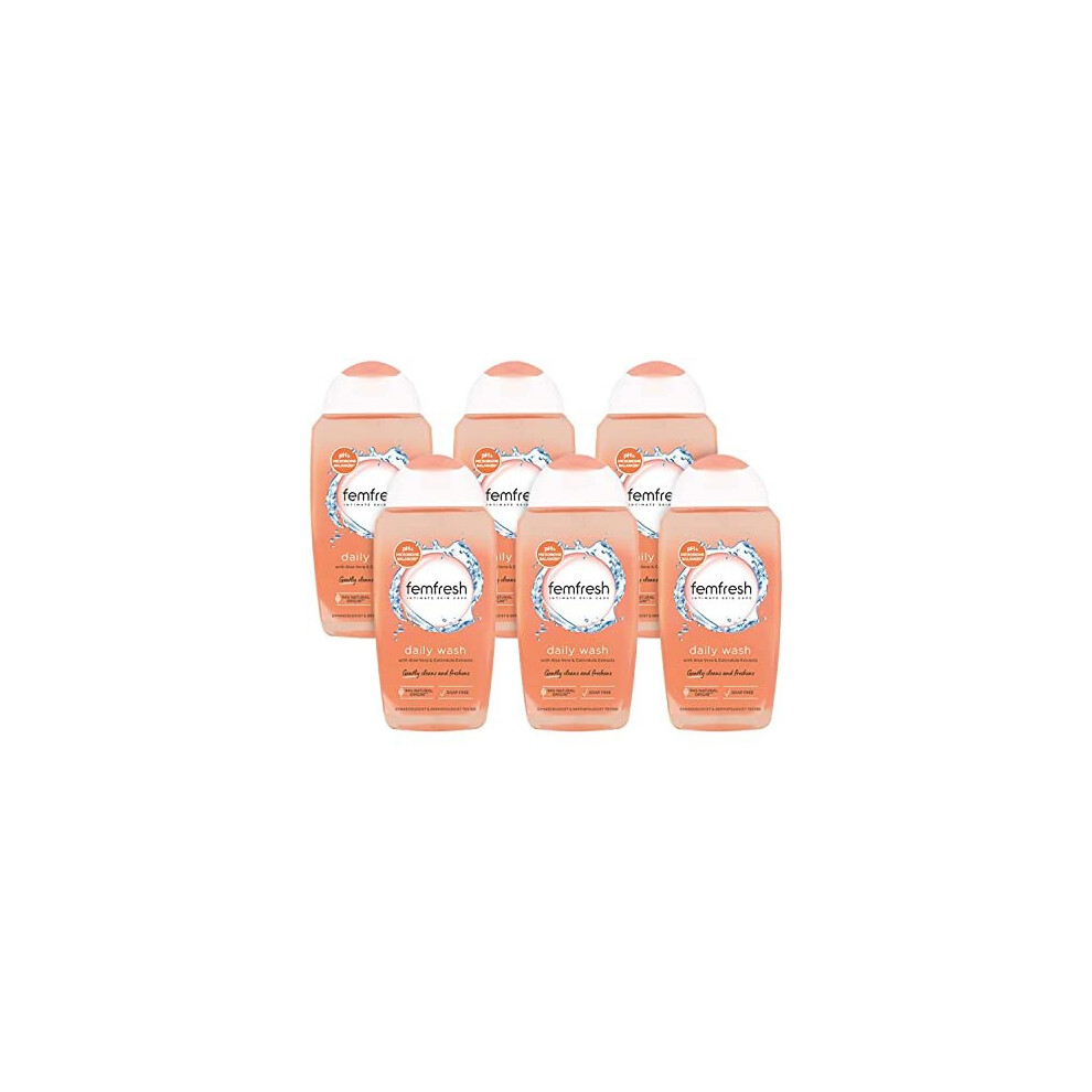 Femfresh Everyday Care Daily Intimate Vaginal Wash Feminine Hygiene Shower Bath Gel Cleanser Ph Balanced Soap Free Gentle Formula With Natural Aloe Vera