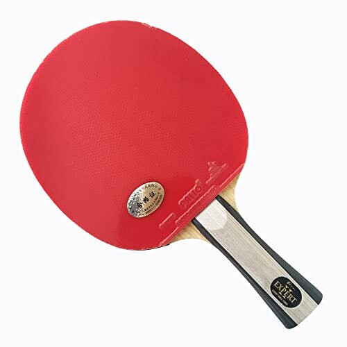 Palio Expert 2 Table Tennis Bat Case 1