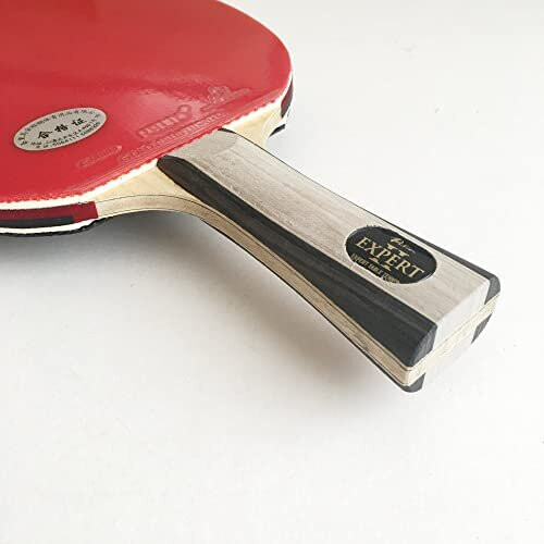Palio Expert 2 Table Tennis Bat Case 2