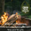 FEWW24 Wood Wool Natural Firelighters 24 Piece Box 4