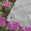 Smart Garden Plant Warming Fleece Roll 10m x 15m 2