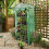 Premium 4 Tier Compact Growhouse 1