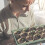 Set of 120 Biodegradable Cellulose Cultivation Pots H x D 75 x 8 cm Round Propagators Small Natural 3