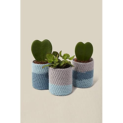 DMC Mindful Making Peaceful Plant Pots Crochet Kit Various One Size CR101K 1