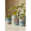 DMC Mindful Making Peaceful Plant Pots Crochet Kit Various One Size CR101K 3