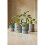 DMC Mindful Making Peaceful Plant Pots Crochet Kit Various One Size CR101K 1
