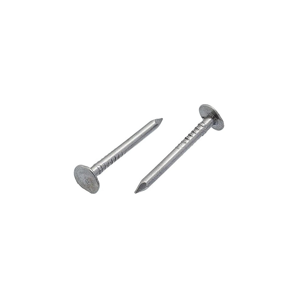 3mm x 20mm Galvanised Roof Nails Large Head Felt Clout Bright Finish Felt Tacks Pack of 100