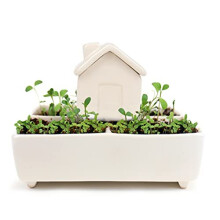 Self Watering House Grow Kit with Herb Seeds White GR452152