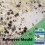 Patio Guard Moss Killer, Patio cleaner & Algae remover 9
