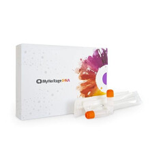 Test Kit Genetic Testing for Ancestry Ethnicity Covering 2114 Geographic Regions and DNA Matching to Relatives