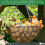 Elixir Garden Supplies (10 L, 2) Organic Coco Coir Blocks/Bricks | 10L & 75L Potting Medium/Compost Soil 3