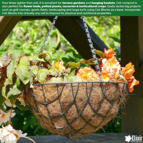 Elixir Garden Supplies (75 L, 3) Organic Coco Coir Blocks/Bricks | 10L & 75L Potting Medium/Compost Soil 2