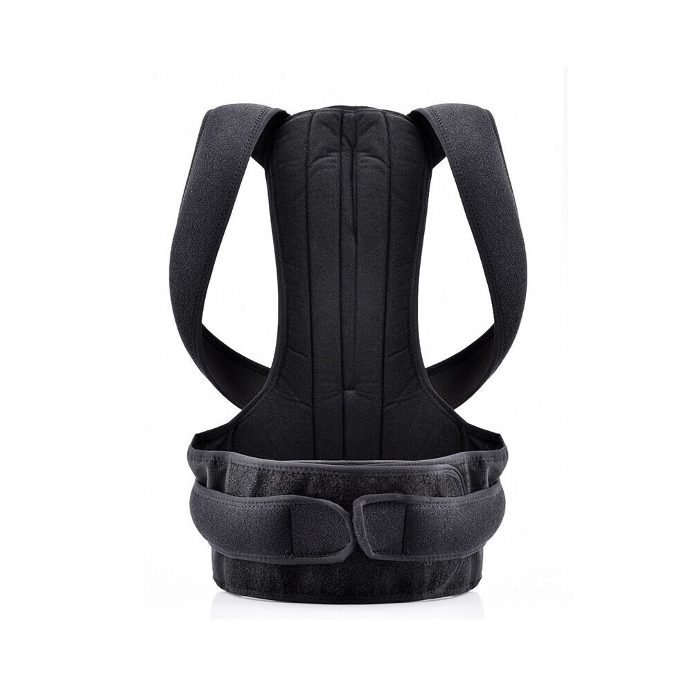 (M, Black) Adjustable Lower Back Support Belt for Women Men XXL Breathable Back Posture