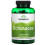 Echinacee, 400 mg, 180 Capsule 1