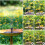 Solar Powered Fountain | Solar Bird Bath Pump Floating Fountain Pump 4