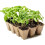 Peat Pots 5