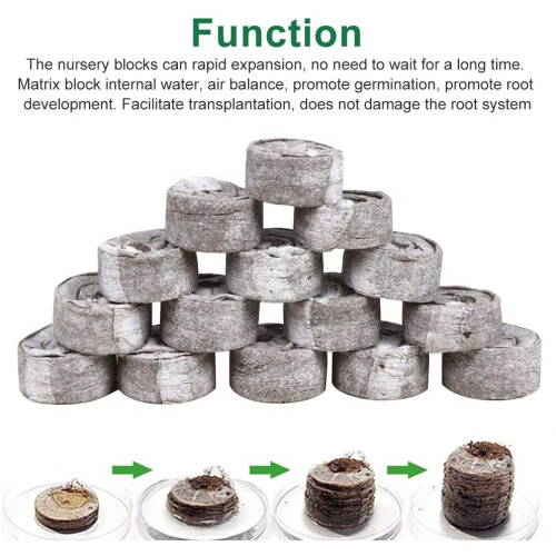 Pack of 100 Compressed Peat Plant Blocks 1