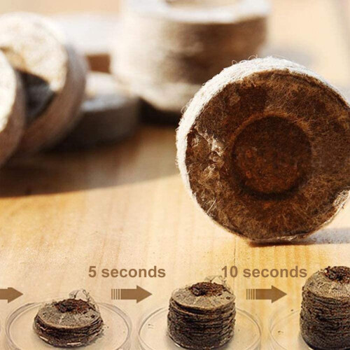 Pack of 100 Compressed Peat Plant Blocks 2