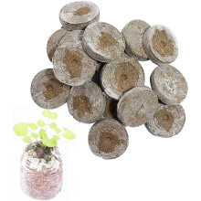 Lot of 50 coconut lozenges with nutrients.