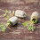 Compressed Peat Peat Peat Granules Stoppers. Peat Soil Pellets 5