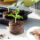 Lot of 100 Peat Pellets 5