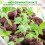 Lot of 100 Peat Pellets 3