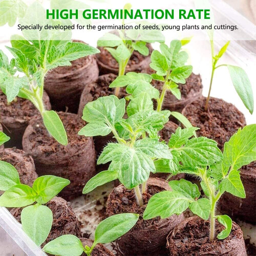 200PCS Swelling Compressed Peat Pellet with Nutrients Seedling Nutrition Block 1
