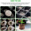 200PCS Inflatable Compressed Peat Pellet with Nutrients Seedling Nutrition Block 4