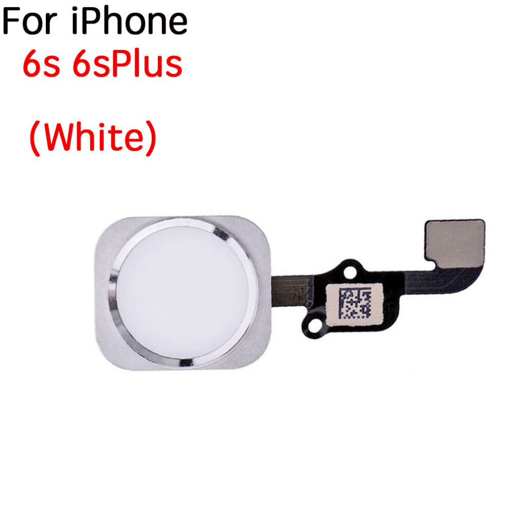 (For 6S-6Splus ) Home Button Key With Flex Cable For Iphone 5 5C 5S 6 6Plus 6Splus 7 7Plus White 9323208378070