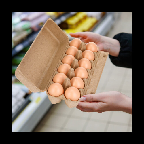 20PCS Cardboard Egg Cartons Blank Paper Pulp Egg Cartons One Dozen Egg Cartons Container Empty Egg Tray Pulp Egg Holder 2