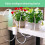 Automatic Drip Irrigation System Plant Controller Self Watering Kit 9