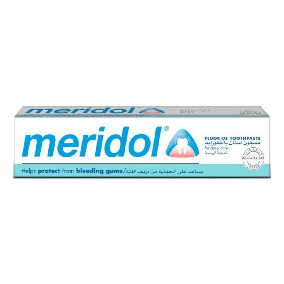 Meridol Gum Health Protection Mint Toothpaste 75ml