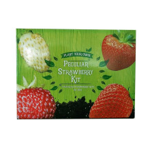 PECULIAR STRAWBERRY KIT