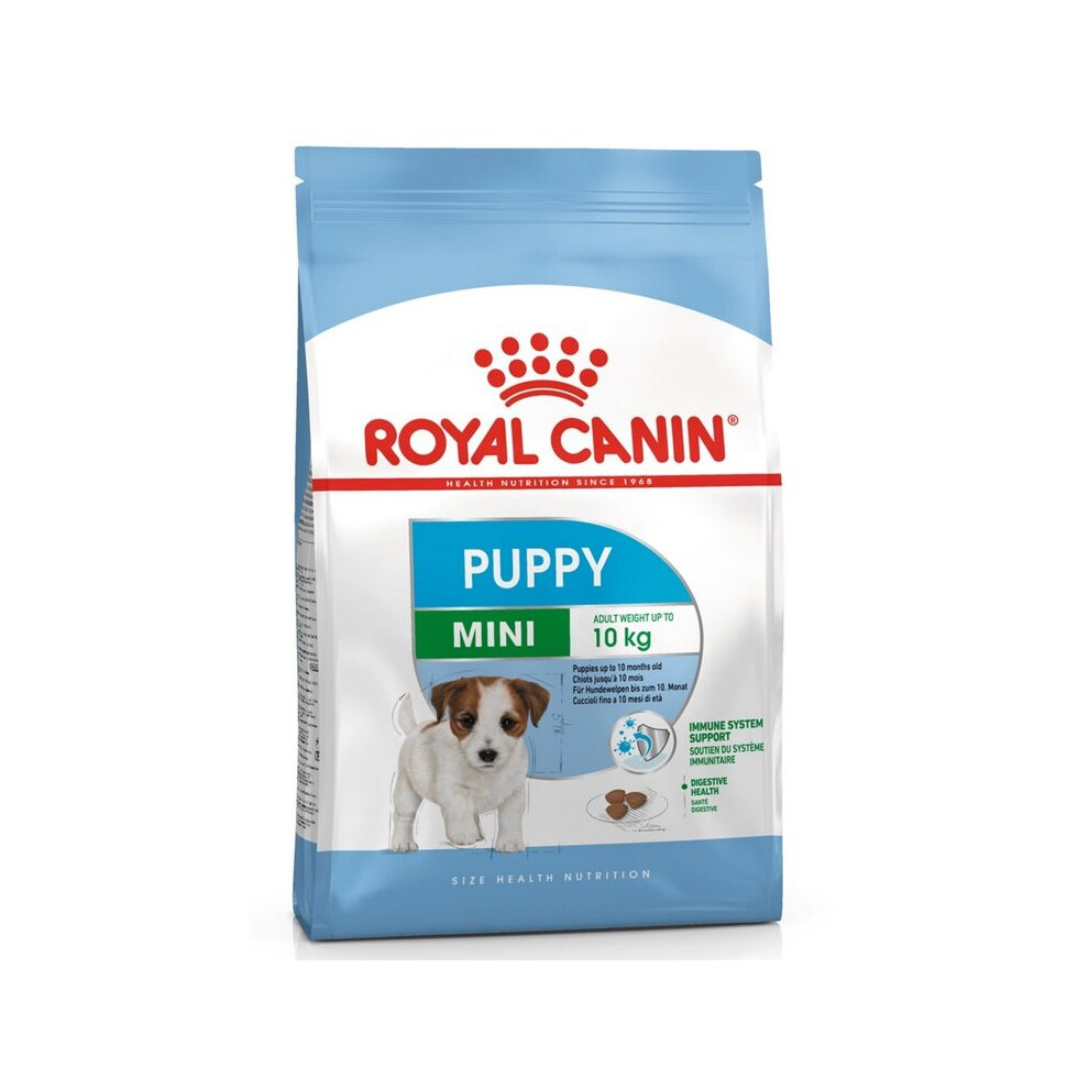 Royal Canin Mini Junior Dog Food (2 kg)