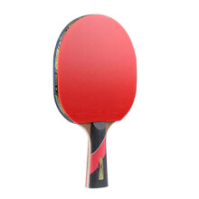 Super Powerful Ping Pong Racket Bat, Table Tennis Racket Sticky Pimples(Penhold-Hands Grip)