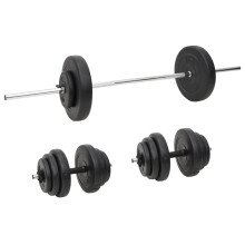 (2 x 10 kg + 4 x 5 kg + 6 x 1.25 kg + 4 x 2.5 kg) vidaXL Barbell Workout Home Gym Workout Fitness Weight Free Weight Plate Set