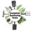 AAMEN 4-Pcs Garden Tools Set, Rake, Border Spade, Digging Spade & Fork 6