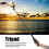 Remote Selfie Stick 1/4inch Handheld Monopod Tripod for Phone Action Camera 15