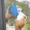 Double-Sided Magnetic Window Cleaner 5