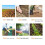 Outdoor Biodegradable Grass Seed Mat 5