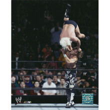 WWE Shawn Michaels Promo Print 8" x 10"