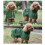 (S, Grey) Quick Drying Fiber Cat Dog Clothes Towel Bath Robe 9