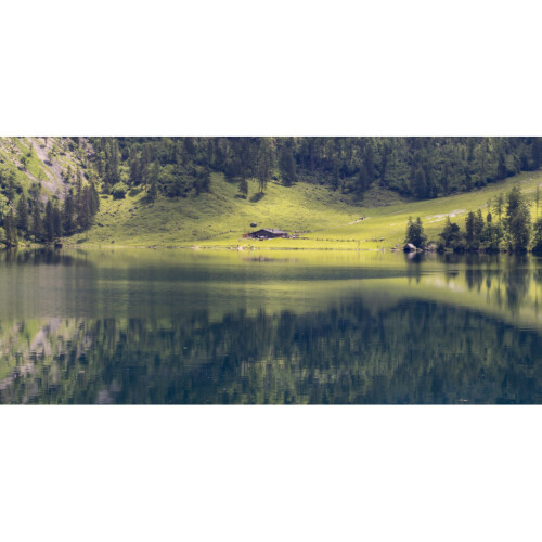 CALM Plus, 8 oz (226 g)