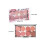 Miss Rose Contour Face Blusher Palette Multicolour makeup set 4