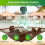 Camping Tent Ceiling Fans, Ceiling Fans with Light and Remote Control 14