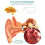 30ml Anti Cochlear Blockage Removal Spray 5