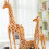 (1.2m) Jumbo Plush Giraffe Soft Toy 5